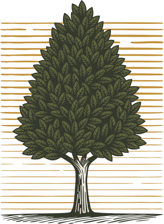 Zack Falk - Founder Partner ONELIFE